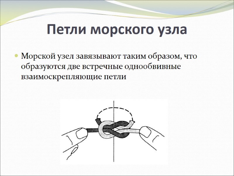 Петли морского узла Морской узел завязывают таким образом, что образуются две встречные однообвивные взаимоскрепляющие Петли морского узла Морской узел завязывают таким образом, что образуются две встречные однообвивные взаимоскрепляющие